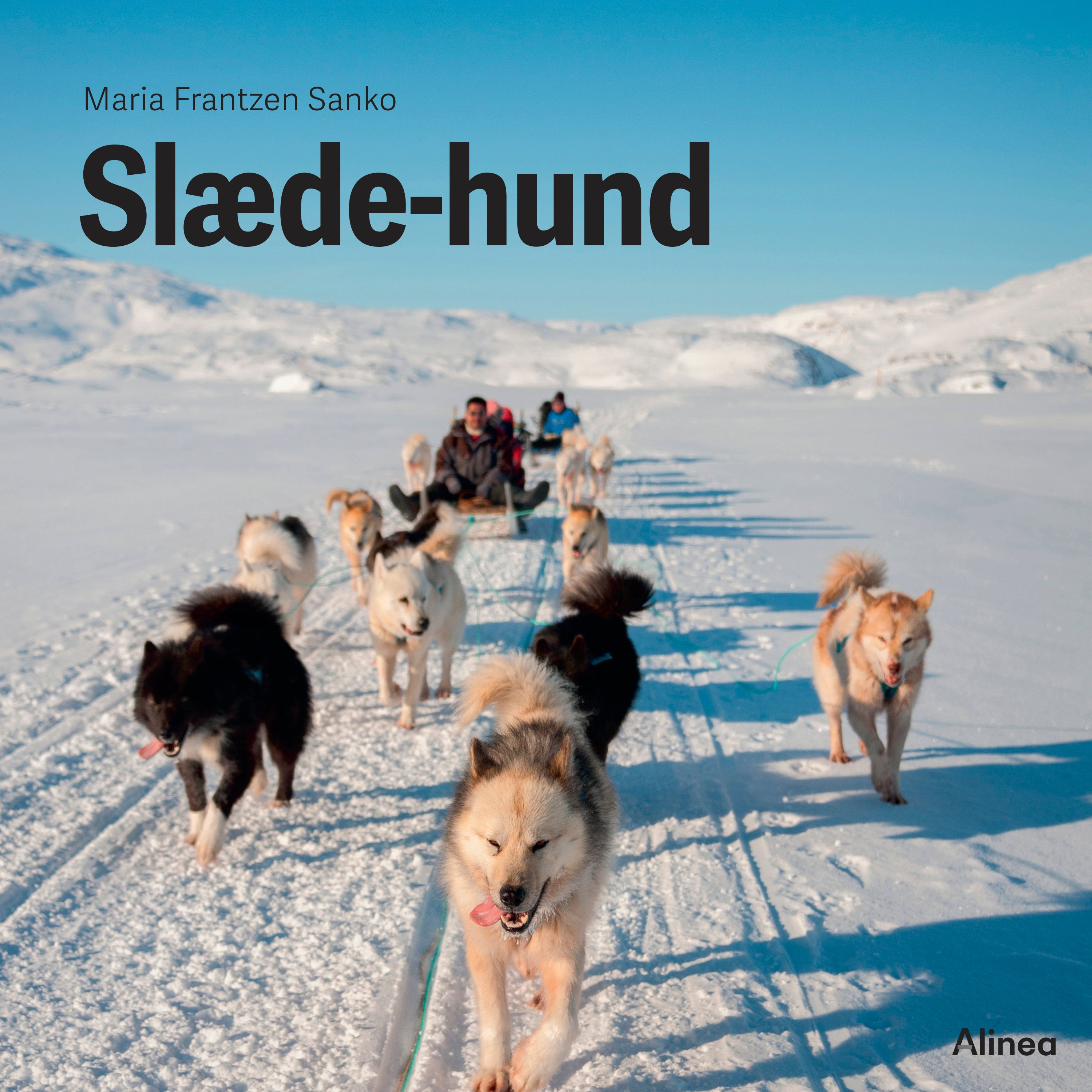 Forside billede